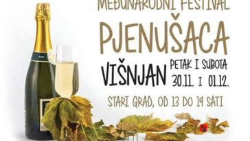 visnjan sajam pjenusca