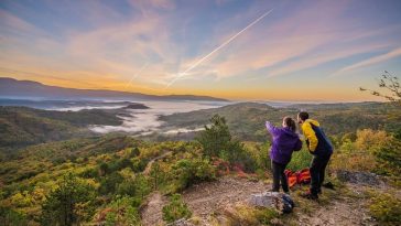 turistička zajednica središnje istre