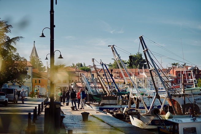 Foto TZ Novigrad barke brodovi mandrač