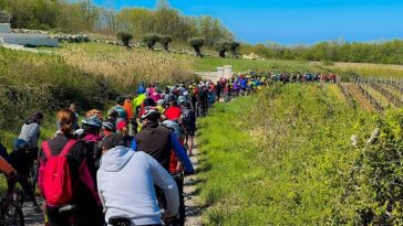 Foto Biciklistički klub Parenzana Vižinada