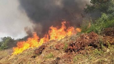 požar katoro vatra Foto Vatrogasci Umag - Kanader gasi požar kod Katora