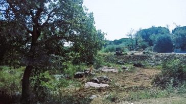 lokva
