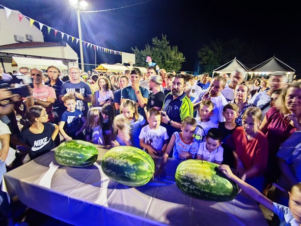 Fešta od angurije u Rošinima - Foto Tanja Kocijančić