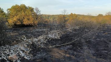 Foto Vatrogasci Umag