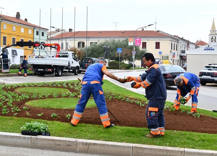 Foto Usluga Poreč - Sadnja na Trgu Joakima Rakovca - Cimarelu