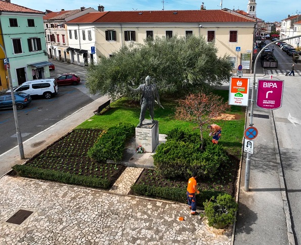 Foto Usluga Poreč - Sadnja na Trgu Joakima Rakovca - Cimare