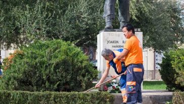 Foto Usluga Poreč - Sadnja na Trgu Joakima Rakovca - Cimarelu