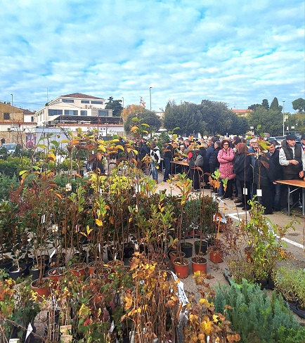 Podjela sadnica - Foto Grad Poreč