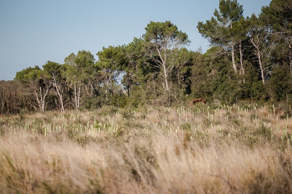 Foto Valamar